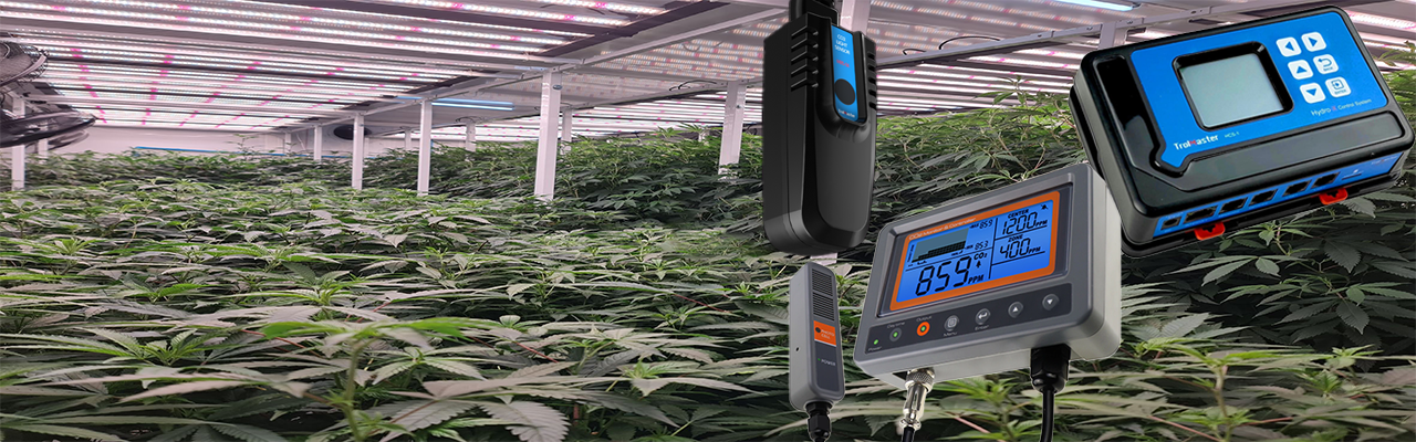 Cannabis Control Systems